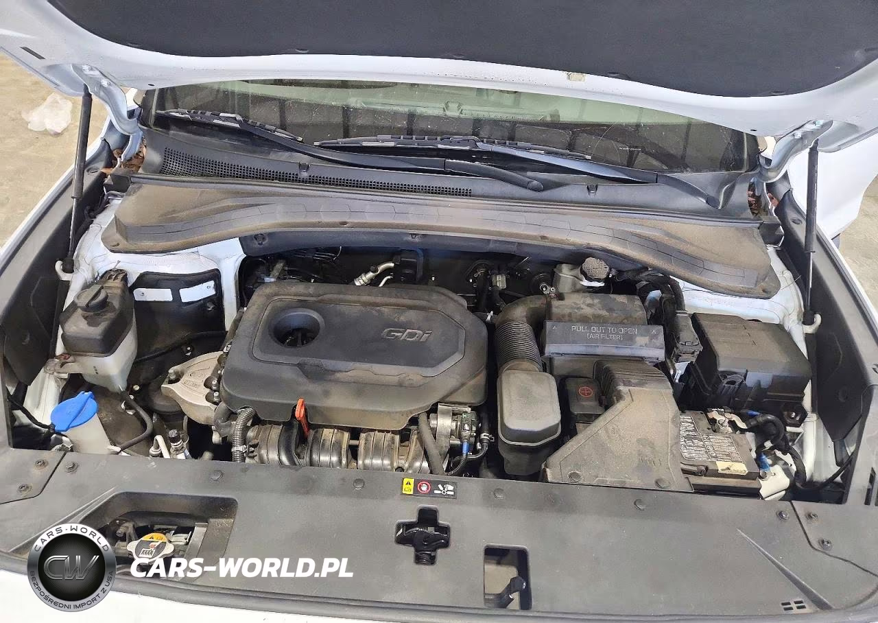 2019 Hyundai Santa Fe Se VIN:5NMS2CAD8KH125448 - 12