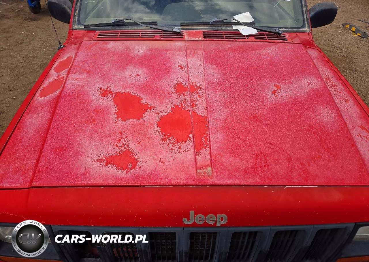 1998 Jeep Cherokee Sport VIN:1J4FJ68S7WL101389 - 11