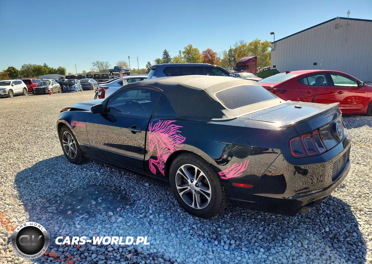 2014 Ford Mustang VIN:1ZVBP8EM9E5324375 - 2