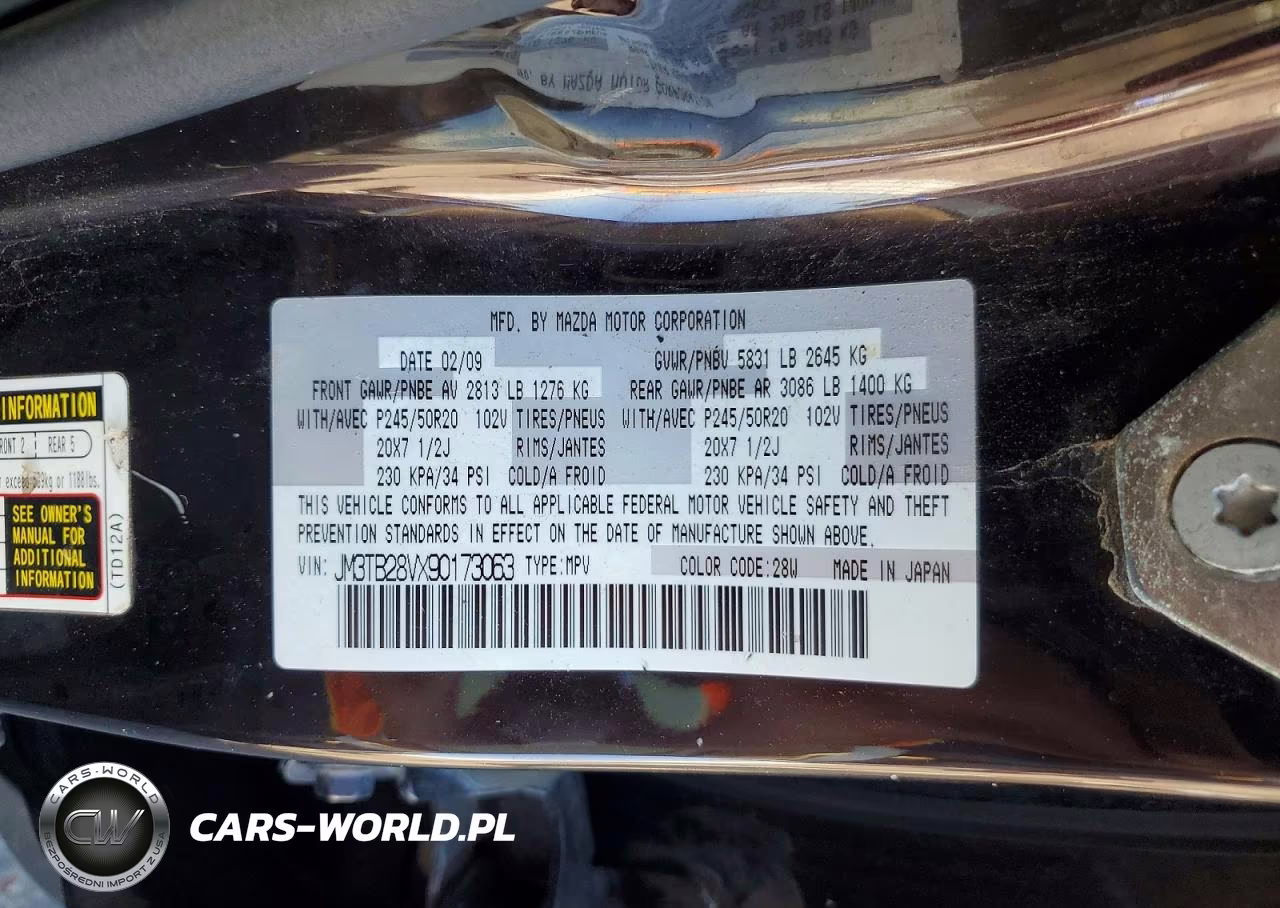 2009 Mazda Cx-9 VIN:JM3TB28VX90173063 - 13