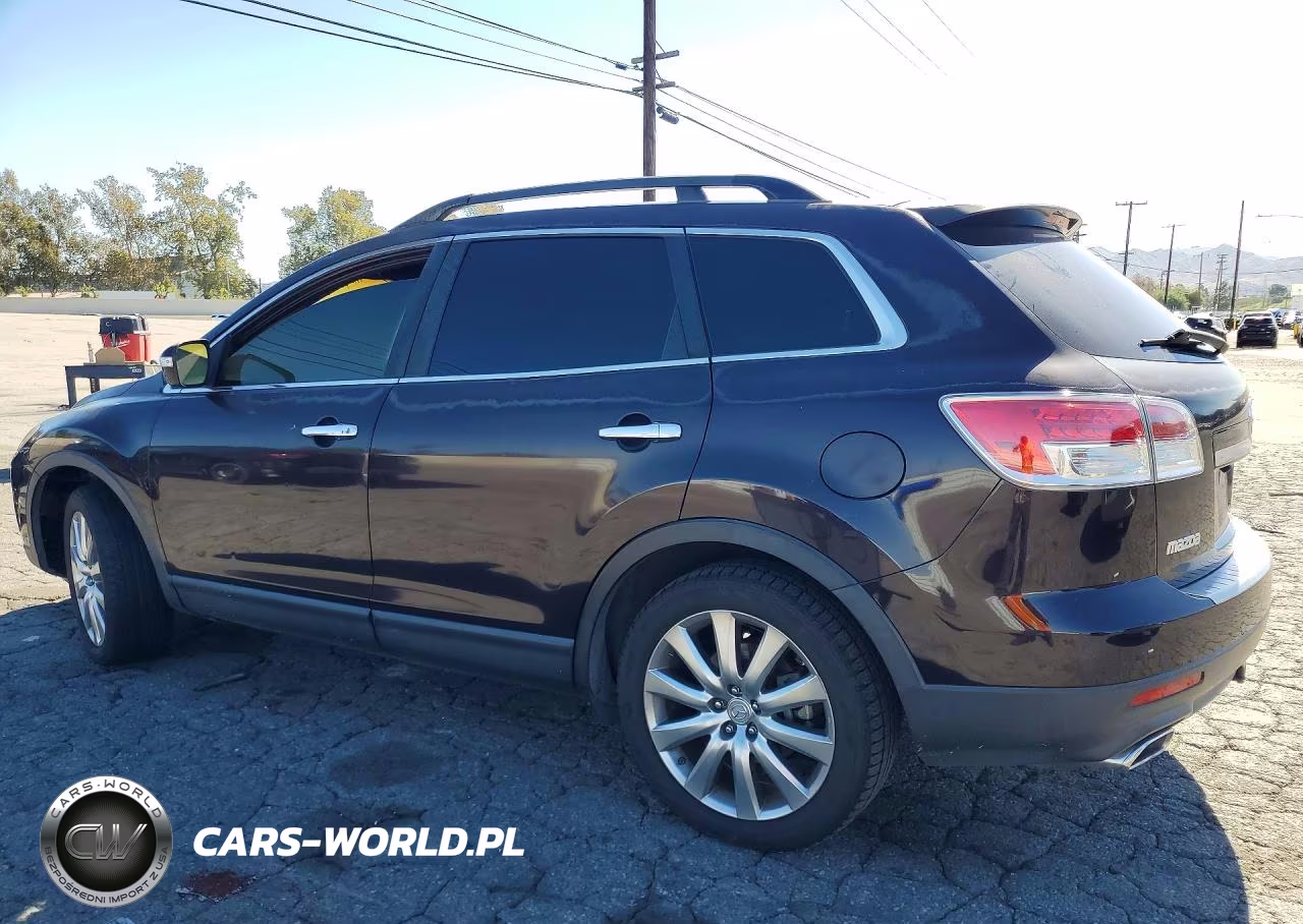 2009 Mazda Cx-9 VIN:JM3TB28VX90173063 - 2