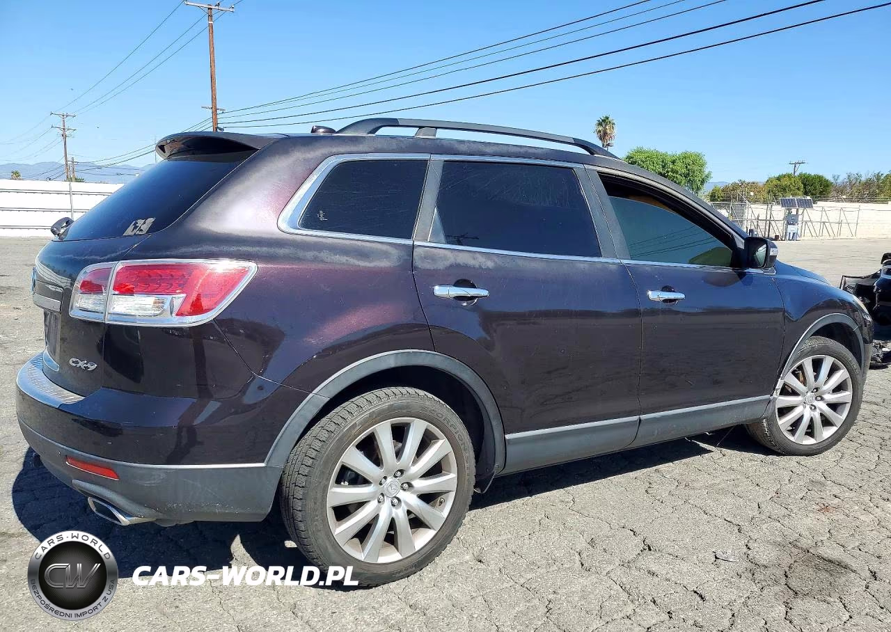 2009 Mazda Cx-9 VIN:JM3TB28VX90173063 - 3