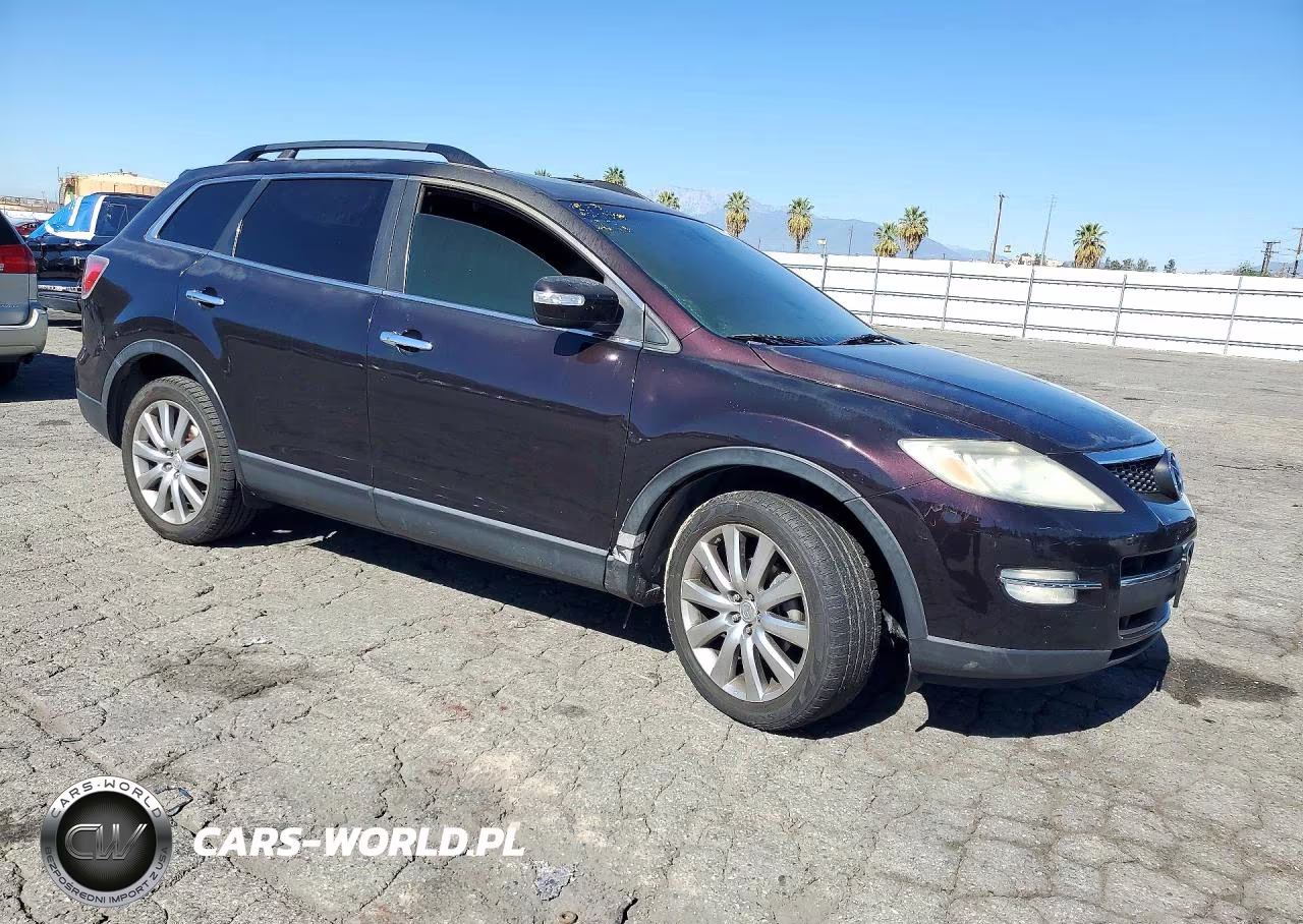 2009 Mazda Cx-9 VIN:JM3TB28VX90173063 - 4