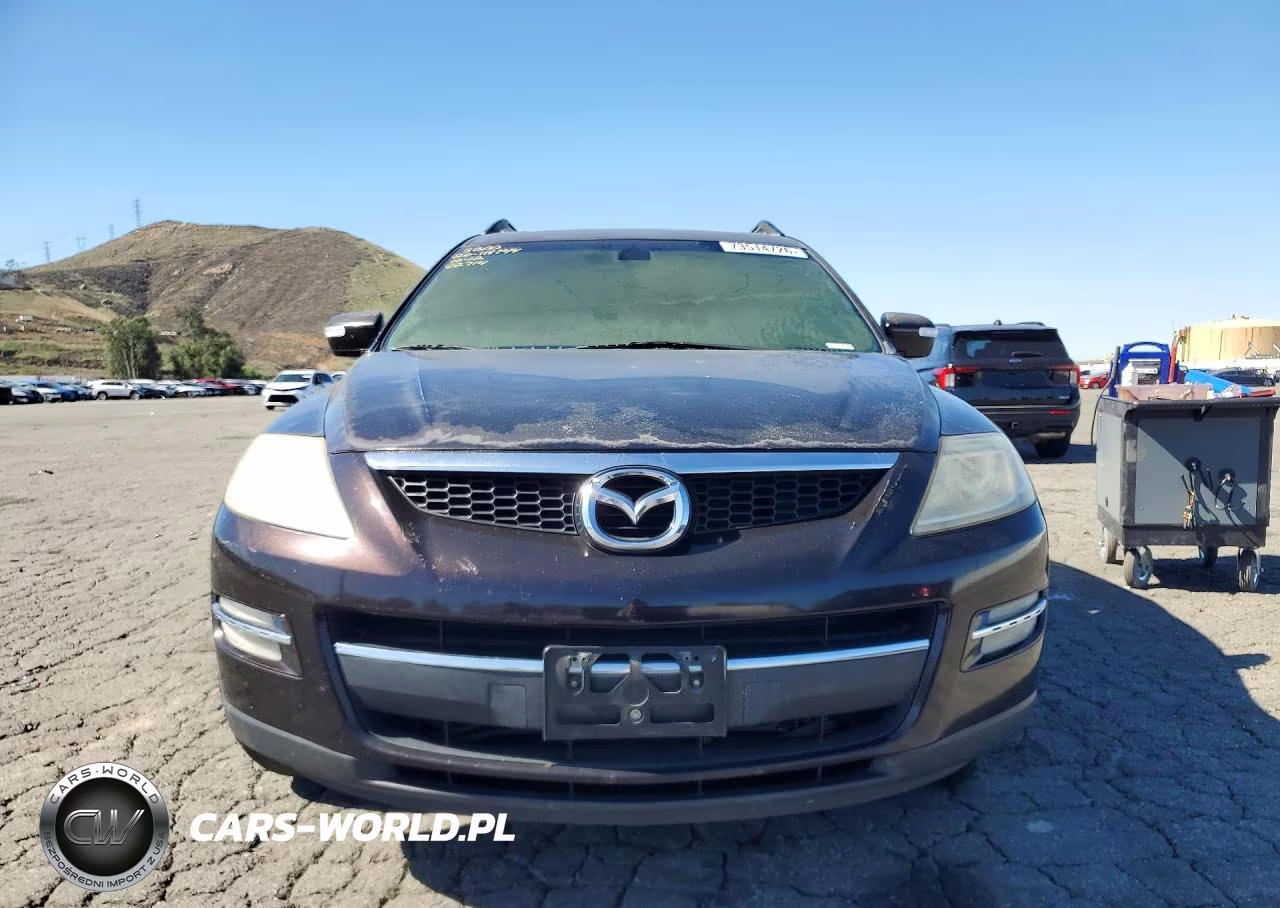2009 Mazda Cx-9 VIN:JM3TB28VX90173063 - 5