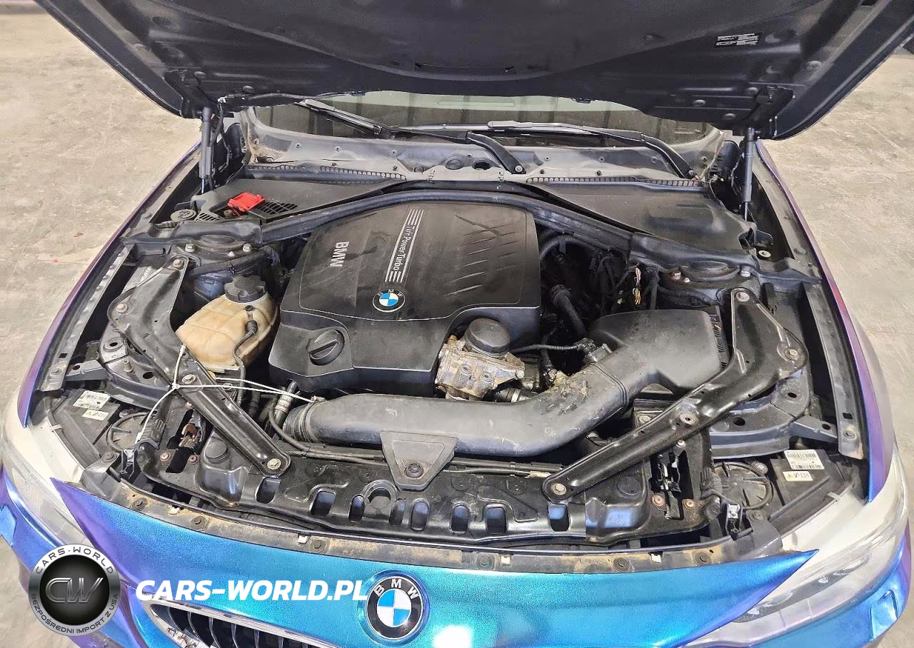 2015 BMW 435 Xi VIN:WBA3T7C57FPW79749 - 11