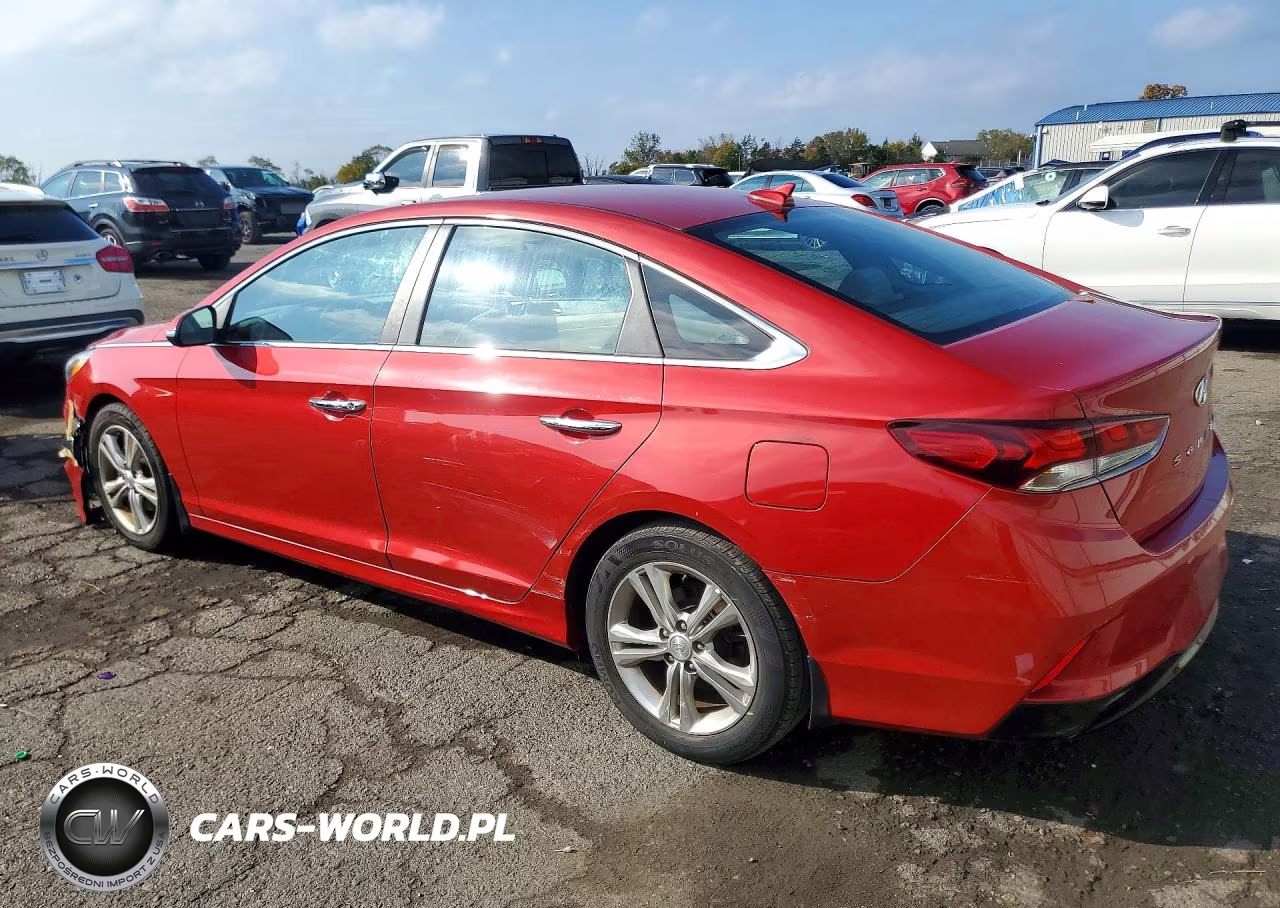 2019 Hyundai Sonata Sel VIN:5NPE34AFXKH729118 - 2