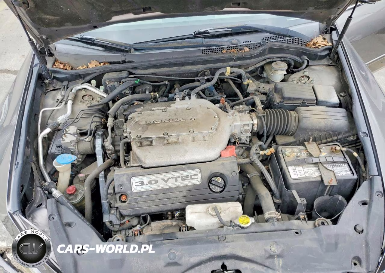 2007 Honda Accord Ex VIN:1HGCM66597A025492 - 11