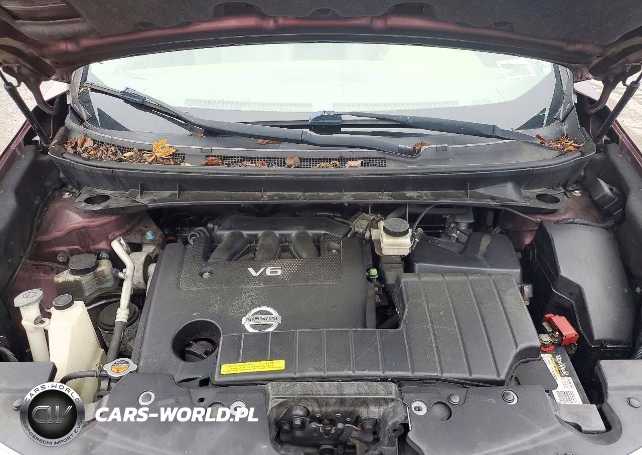 2013 Nissan Murano S VIN:JN8AZ1MW0DW306475 - 12