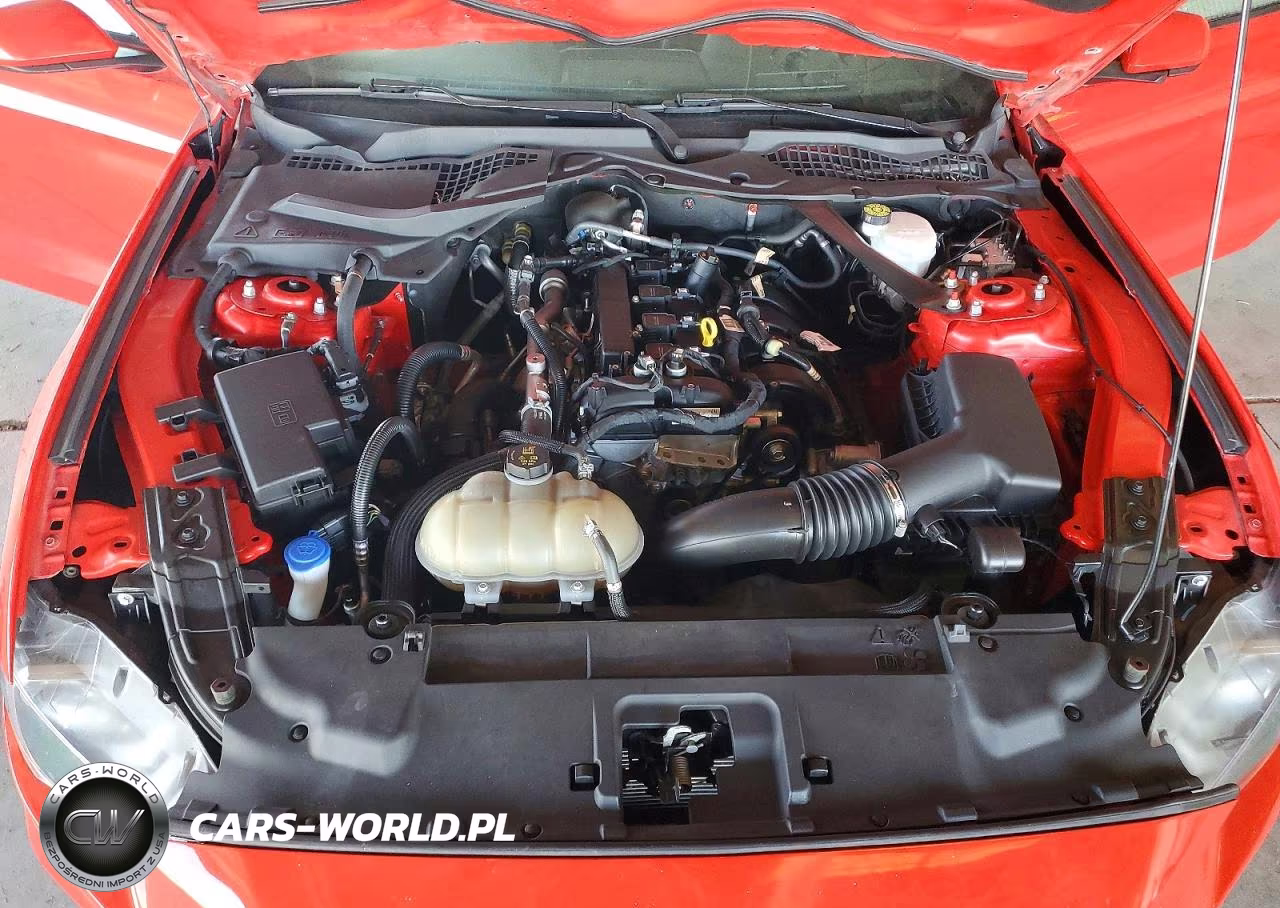 2023 Ford Mustang VIN:1FATP8UH3P5111409 - 11