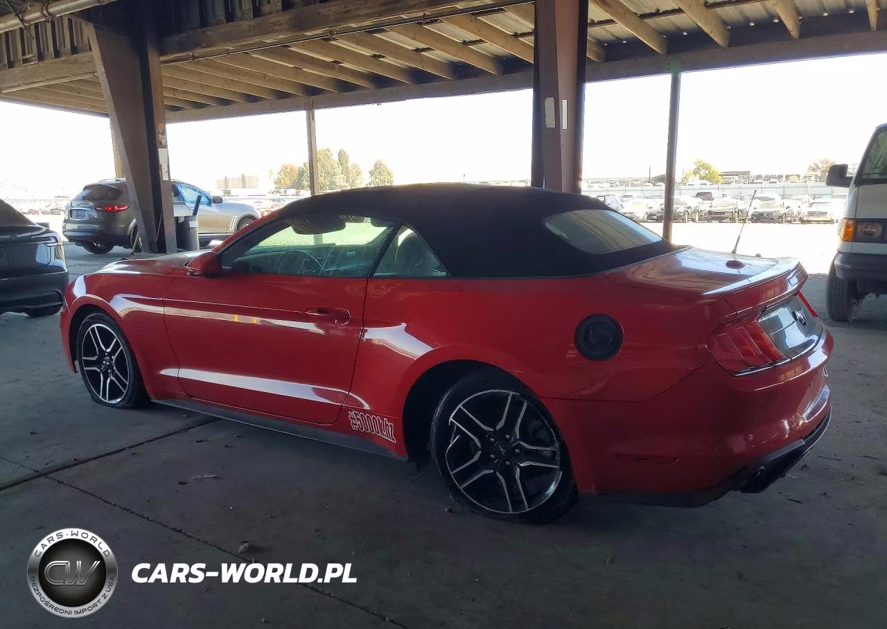 2023 Ford Mustang VIN:1FATP8UH3P5111409 - 2