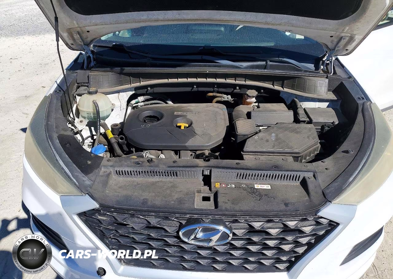2019 Hyundai Tucson Value VIN:KM8J33A45KU912645 - 12