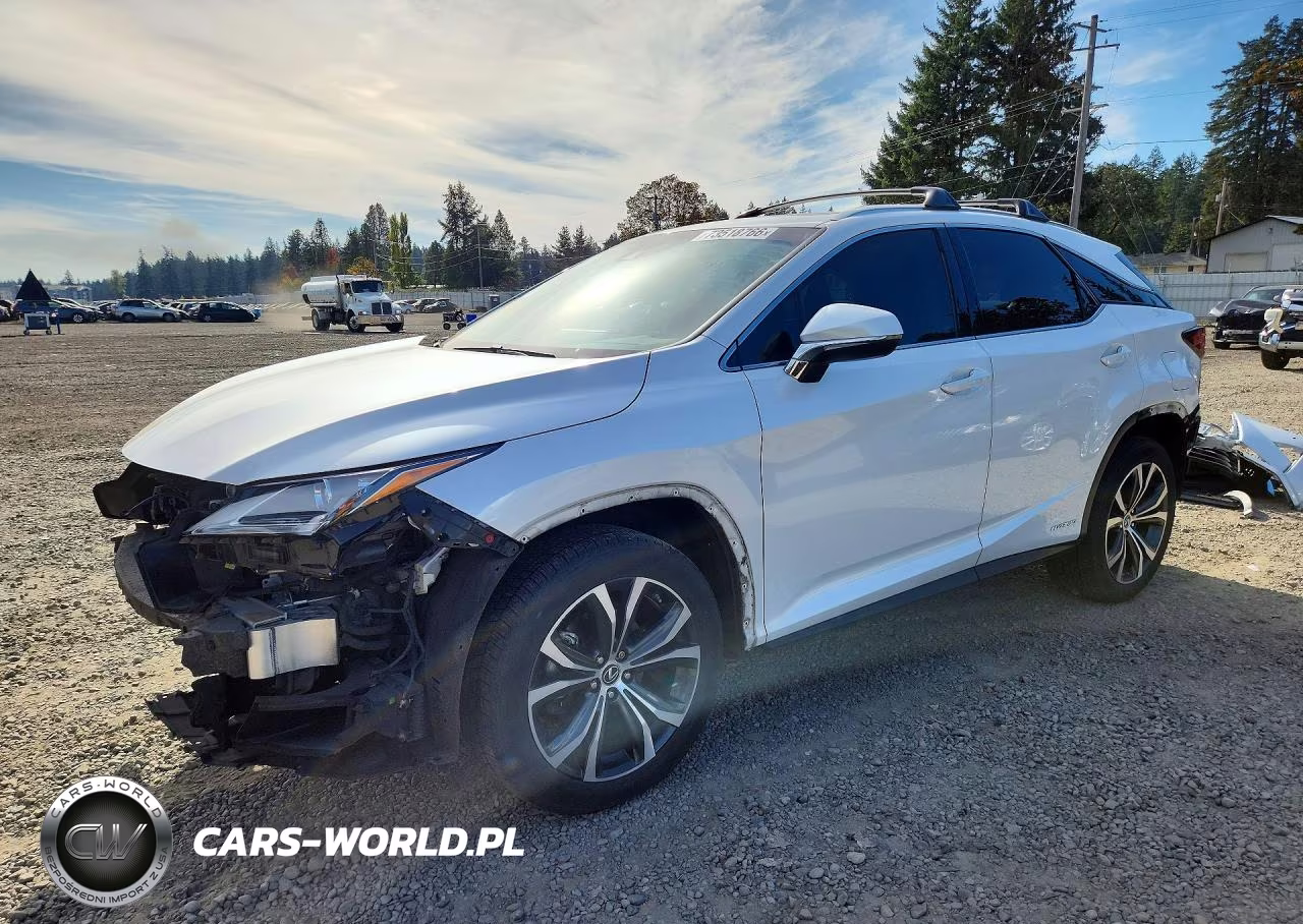 2019 Lexus Rx 450H Base VIN:2T2BGMCAXKC030904 - 1