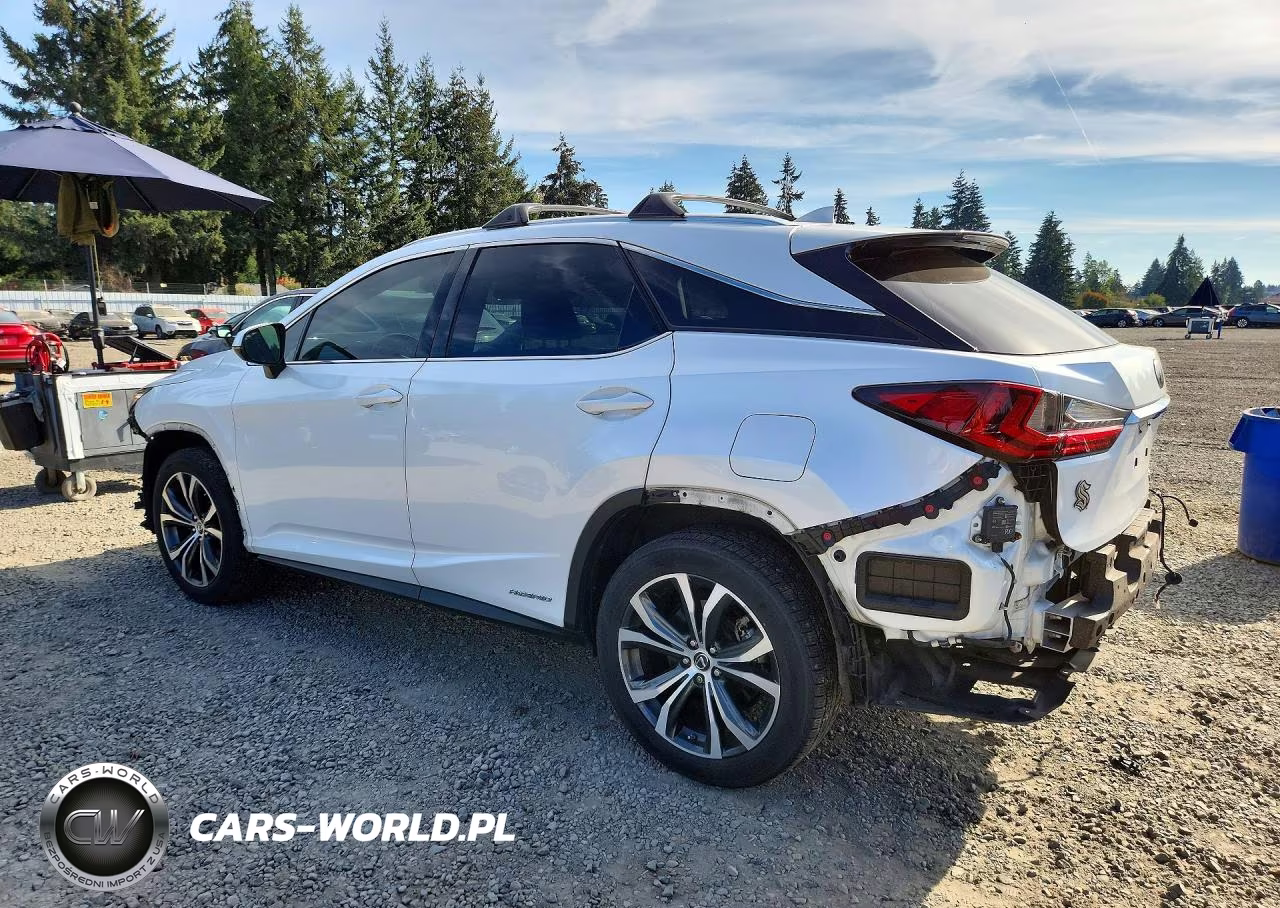 2019 Lexus Rx 450H Base VIN:2T2BGMCAXKC030904 - 2
