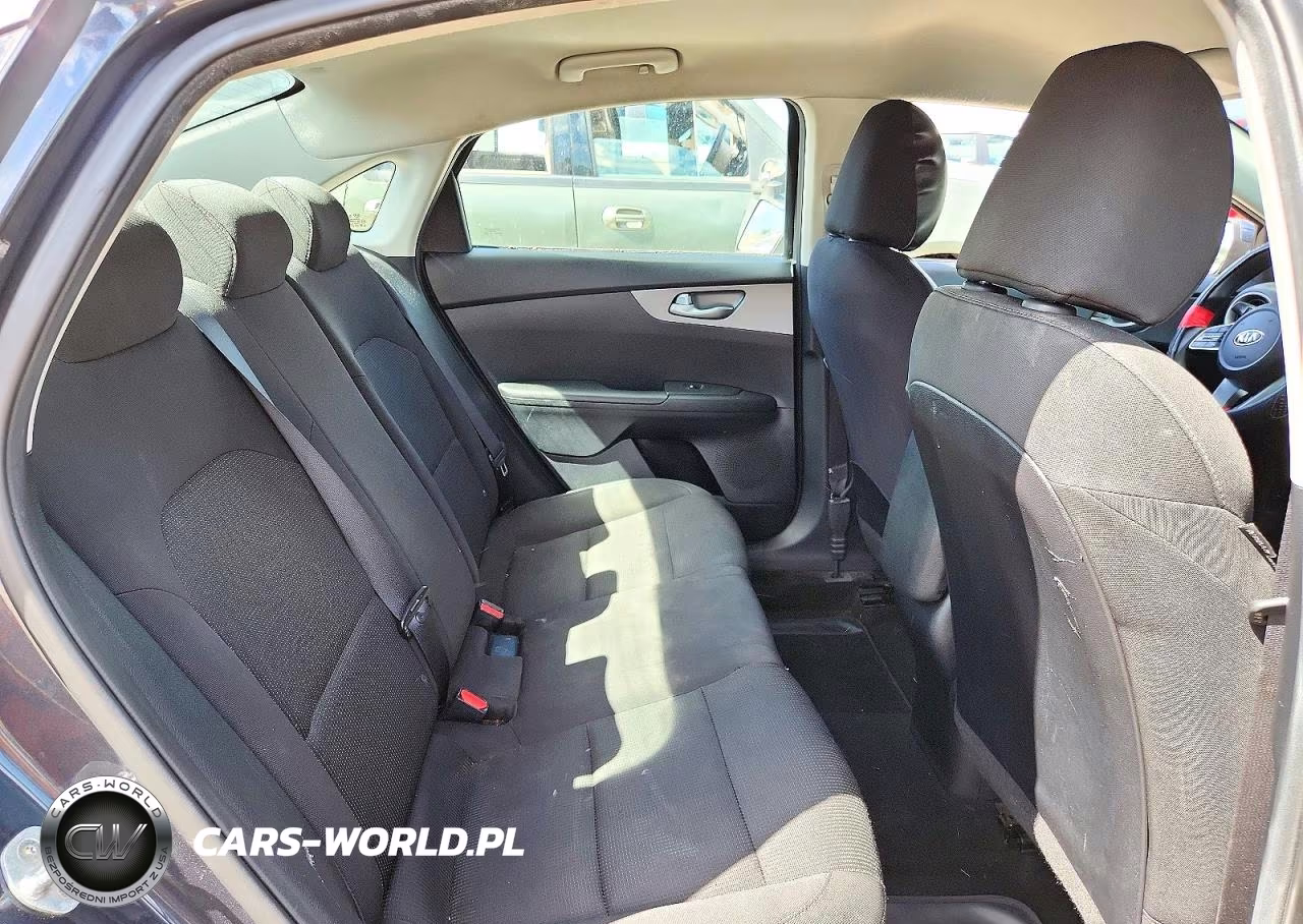 2019 Kia Forte Lxs VIN:3KPF24AD3KE041455 - 10