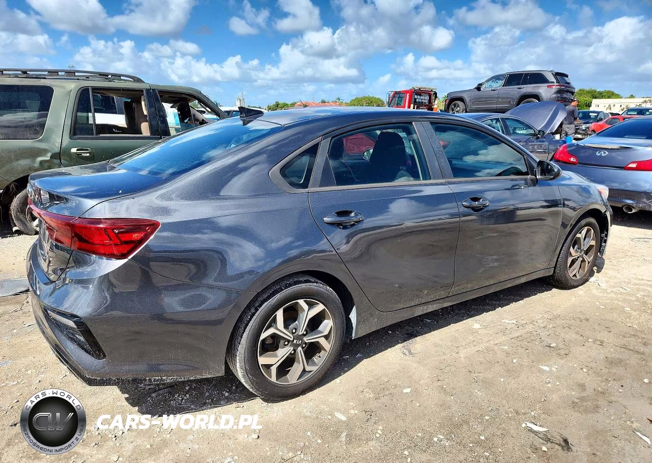 2019 Kia Forte Lxs VIN:3KPF24AD3KE041455 - 3