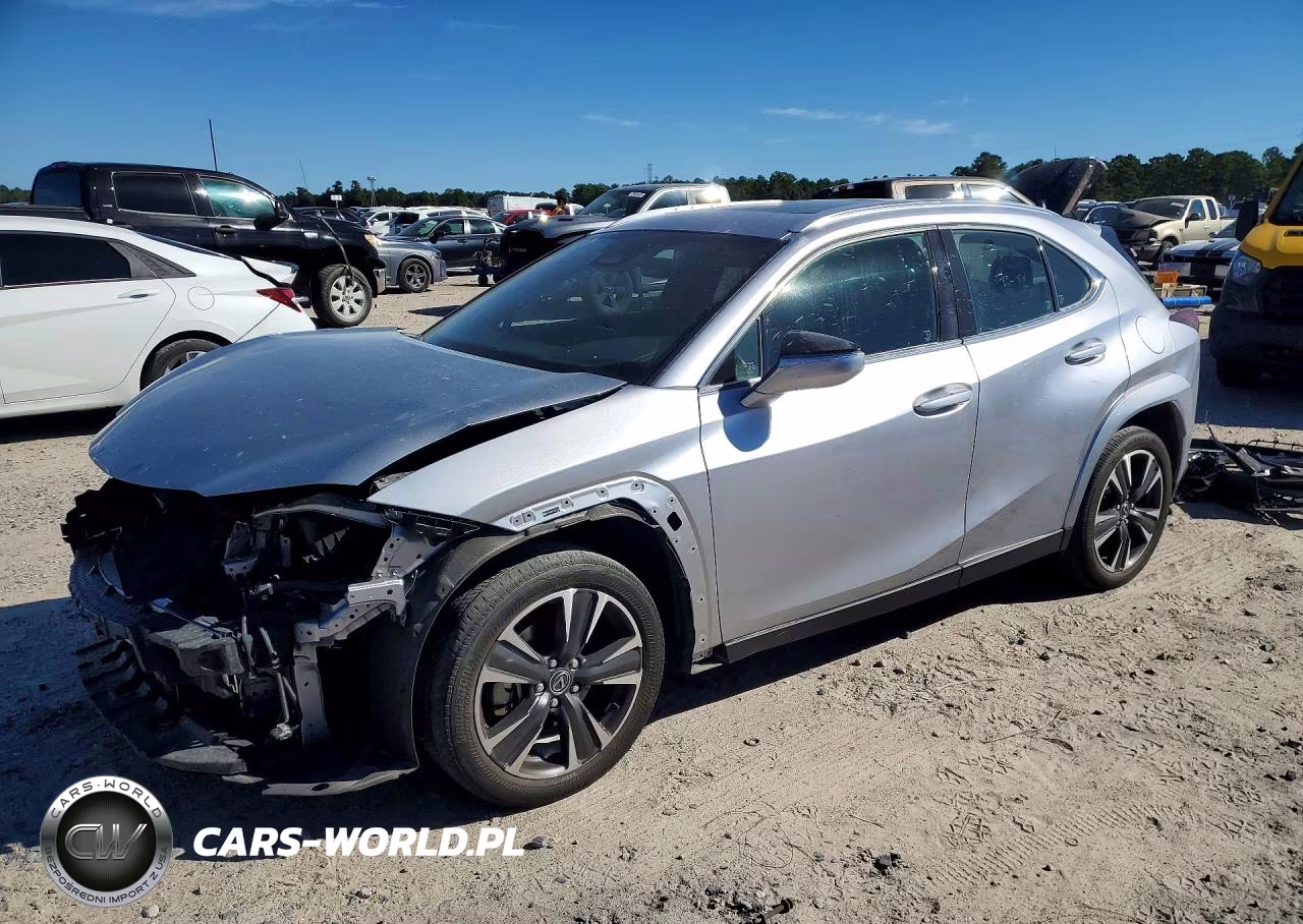 2025 Lexus Ux 300H Premium