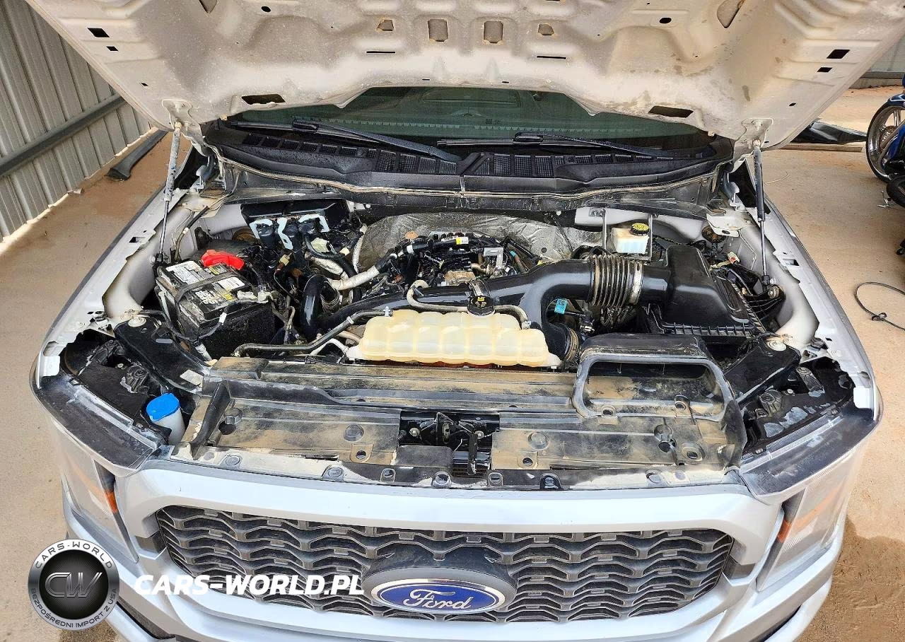 2023 Ford F150 Supercrew VIN:1FTEW1CP4PKD48966 - 11