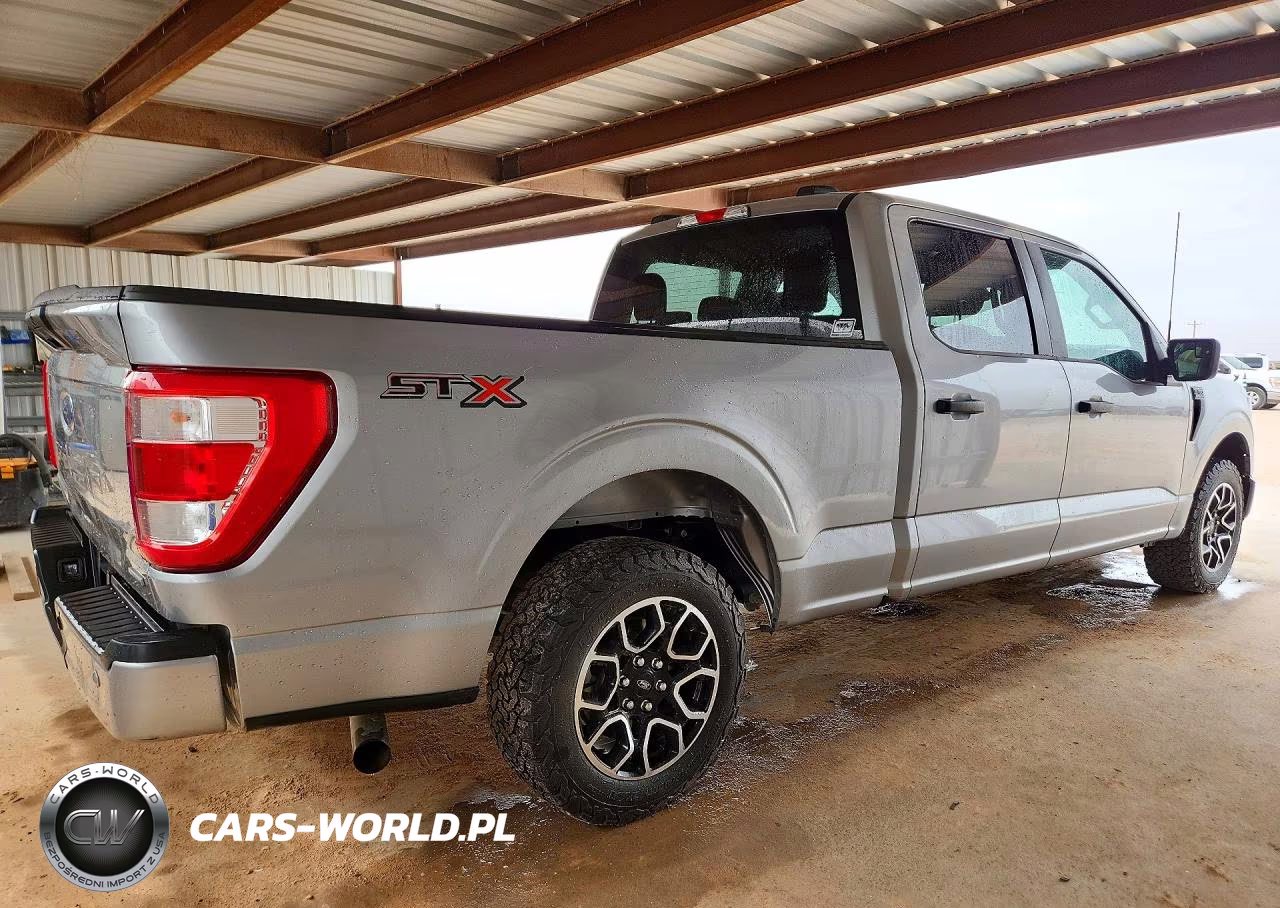2023 Ford F150 Supercrew VIN:1FTEW1CP4PKD48966 - 3