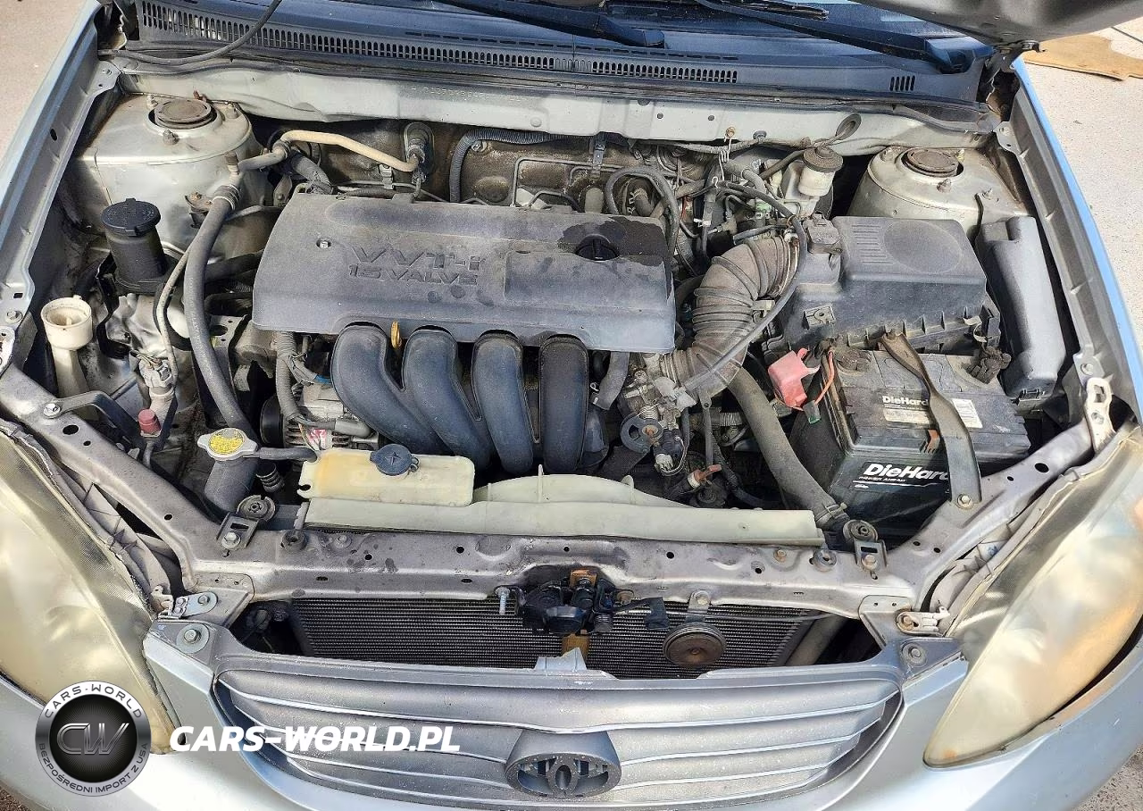 2004 Toyota Corolla Ce VIN:JTDBR32E642047908 - 11