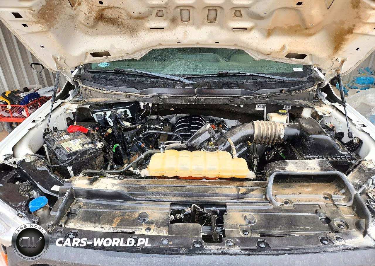 2022 Ford F150 Supercrew VIN:1FTFW1E53NKE64687 - 11