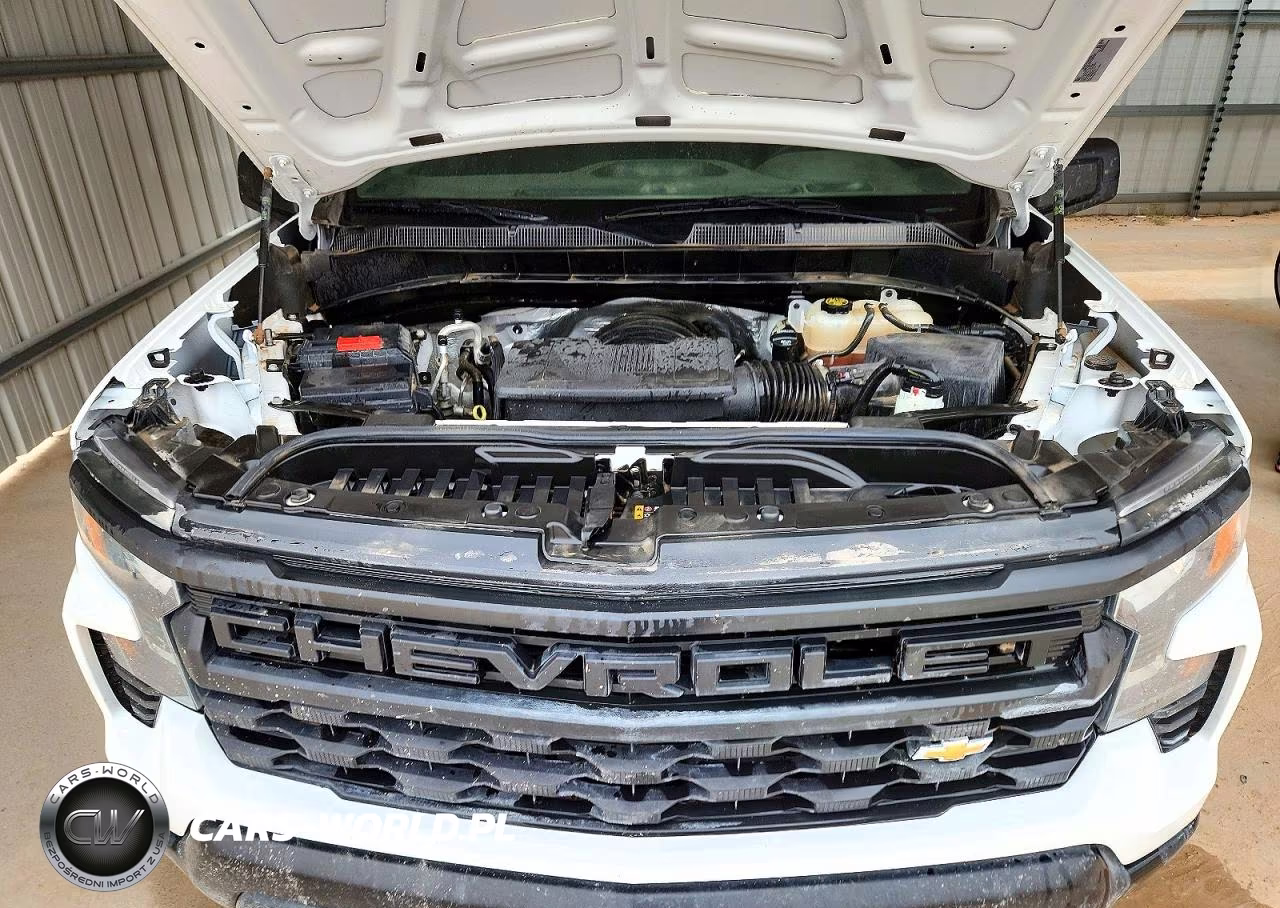 2023 Chevrolet Silverado K1500 VIN:1GCRDAED5PZ139589 - 11