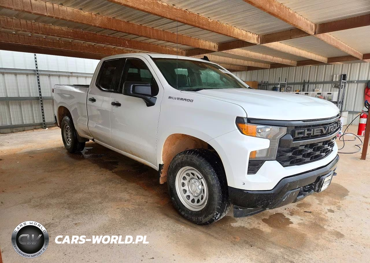2023 Chevrolet Silverado K1500 VIN:1GCRDAED5PZ139589 - 4