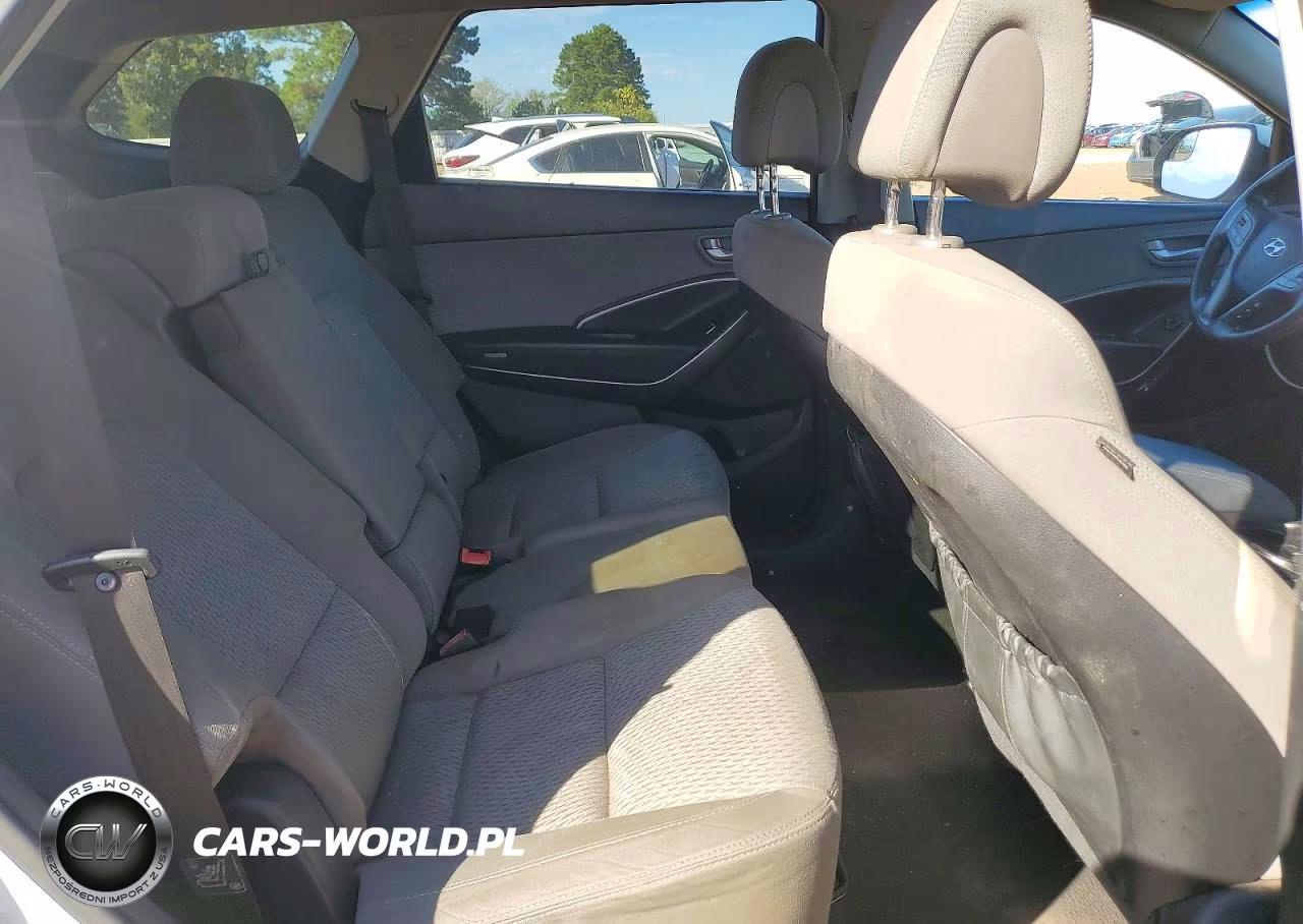 2016 Hyundai Santa Fe Se VIN:KM8SM4HF1GU161856 - 10