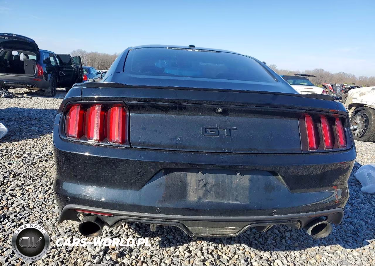 2017 Ford Mustang Gt VIN:1FA6P8CF7H5235147 - 6