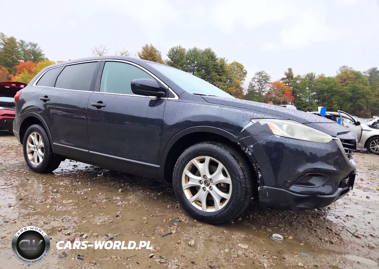 2014 Mazda Cx-9 Touring VIN:JM3TB3CV4E0425462 - 4