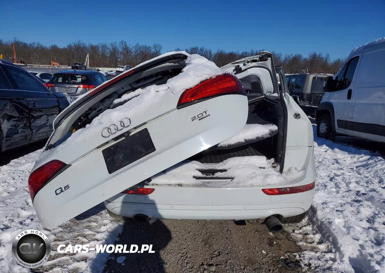 2013 Audi Q5 Premium Plus VIN:WA1LFAFP2DA030732 - 6