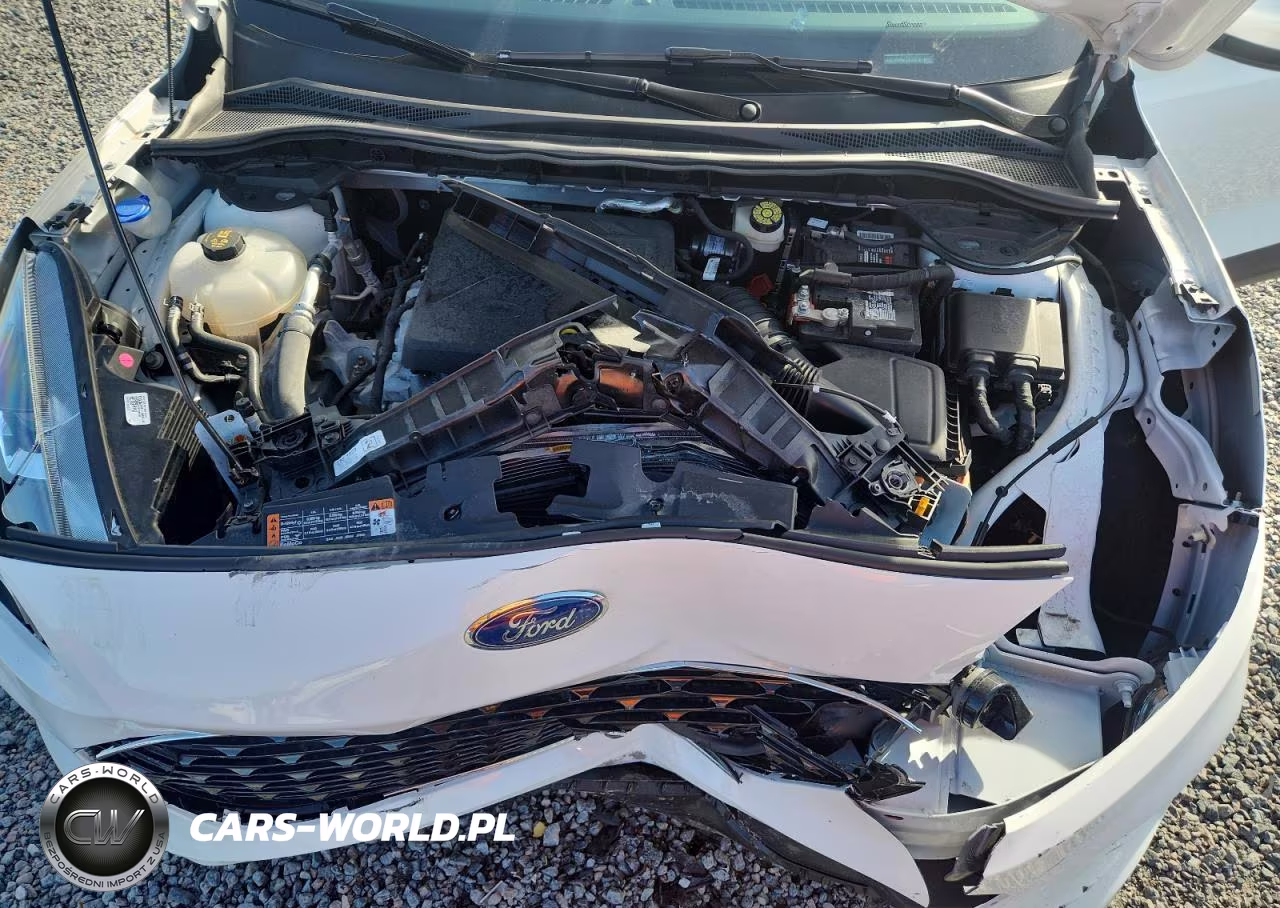 2020 Ford Escape Sel VIN:1FMCU0H68LUA24310 - 12