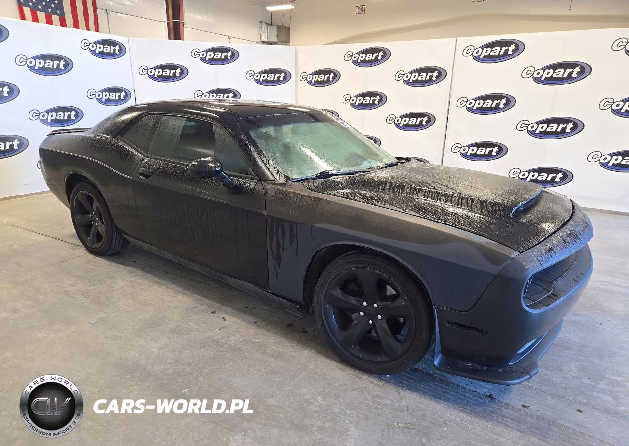 2014 Dodge Challenger Sxt VIN:2C3CDYAG0EH205160 - 4