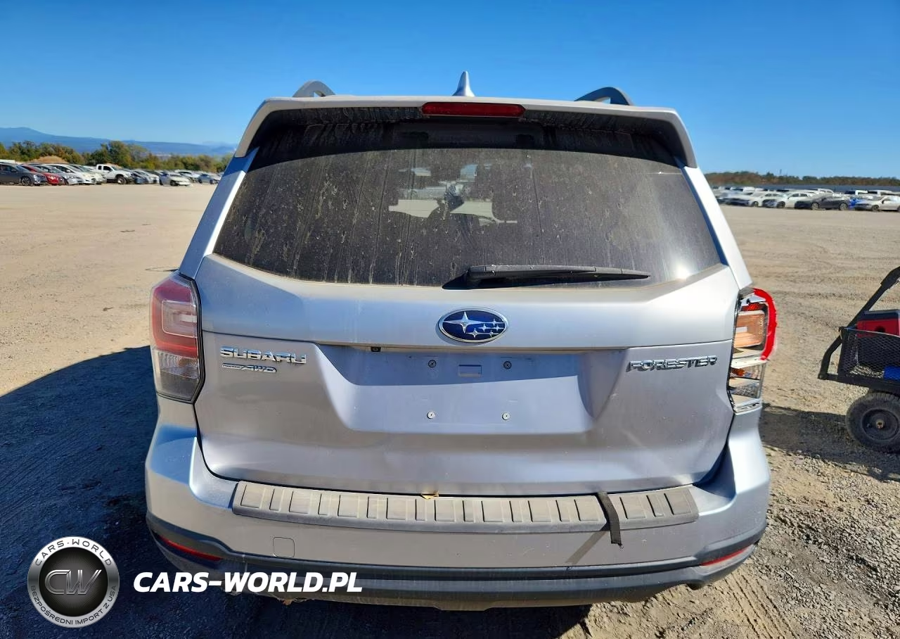 2018 Subaru Forester 2.5I Premium VIN:JF2SJAEC9JH406409 - 6