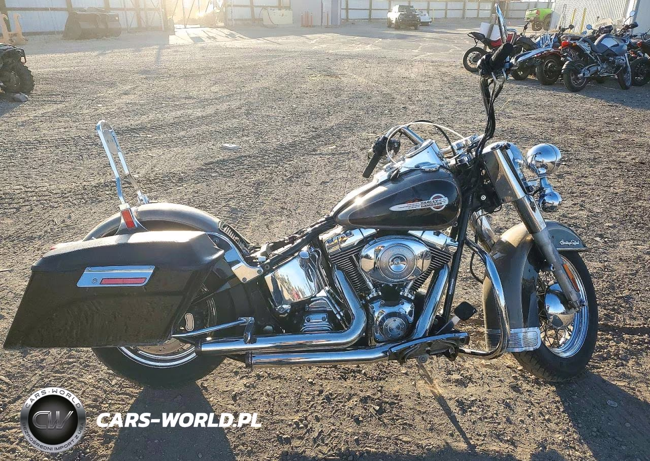 2004 Harley-Davidson Flstci