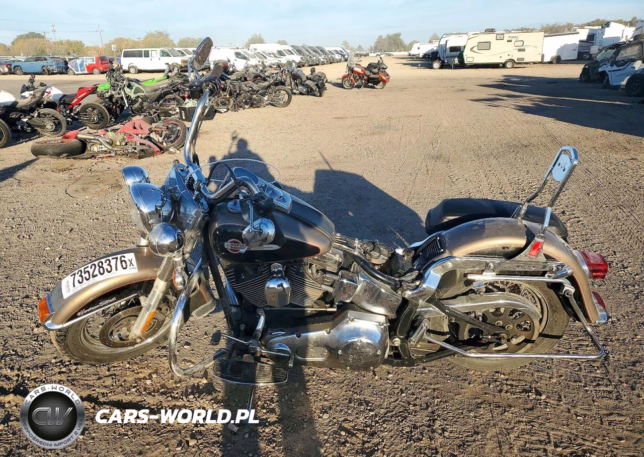 2004 Harley-Davidson Flstci VIN:1HD1BWB184Y085702 - 3
