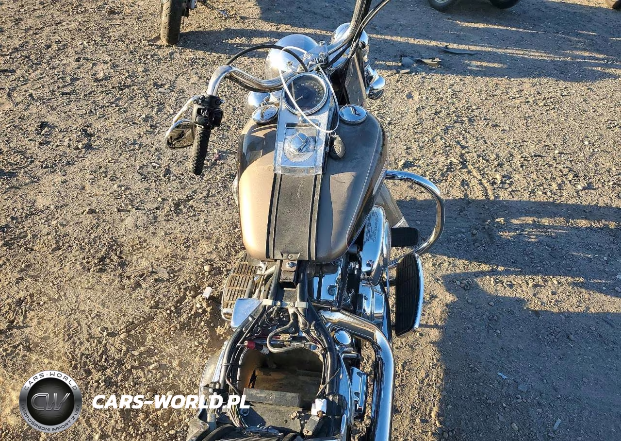 2004 Harley-Davidson Flstci VIN:1HD1BWB184Y085702 - 6