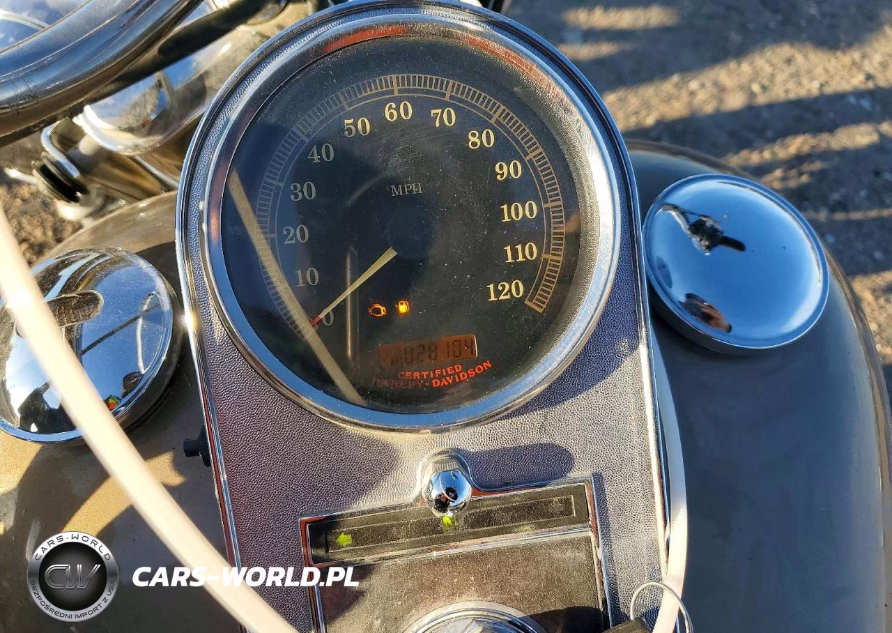 2004 Harley-Davidson Flstci VIN:1HD1BWB184Y085702 - 7