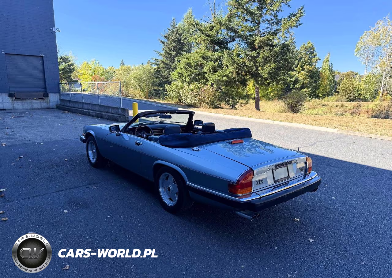 1989 Jaguar Xjs VIN:SAJNV4840KC165619 - 3
