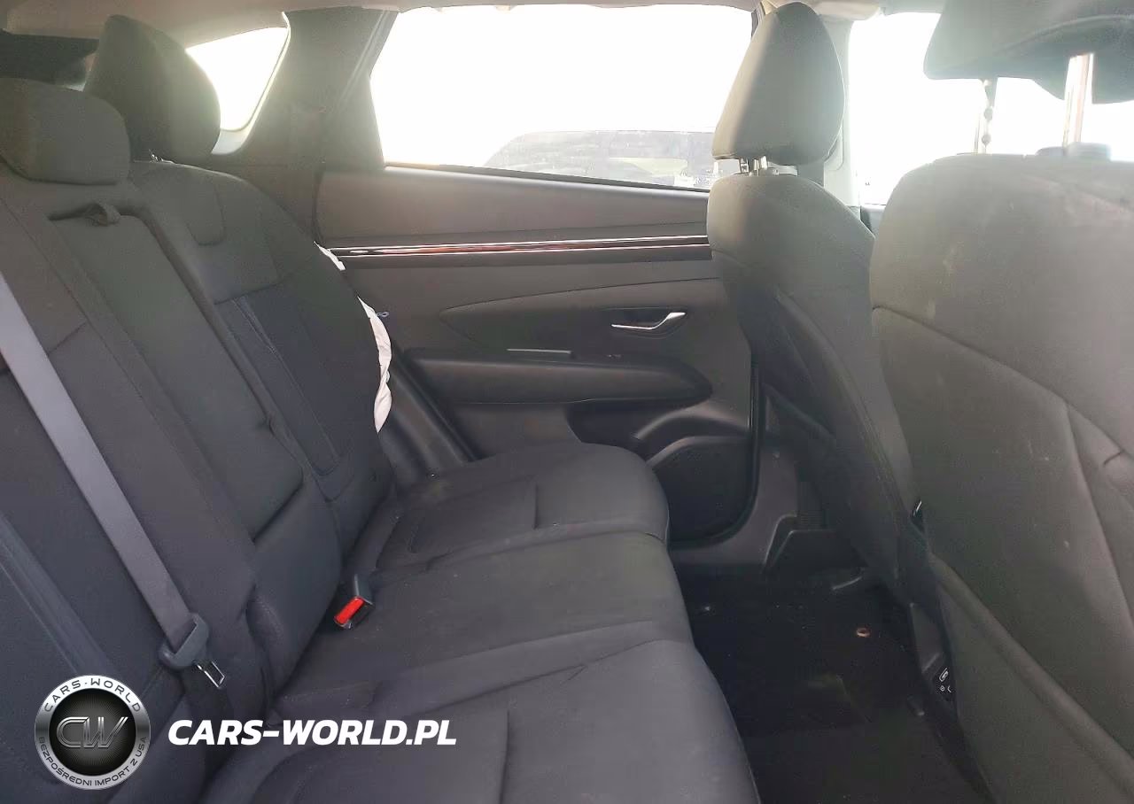 2024 Hyundai Tucson Sel VIN:5NMJBCDE9RH315768 - 10