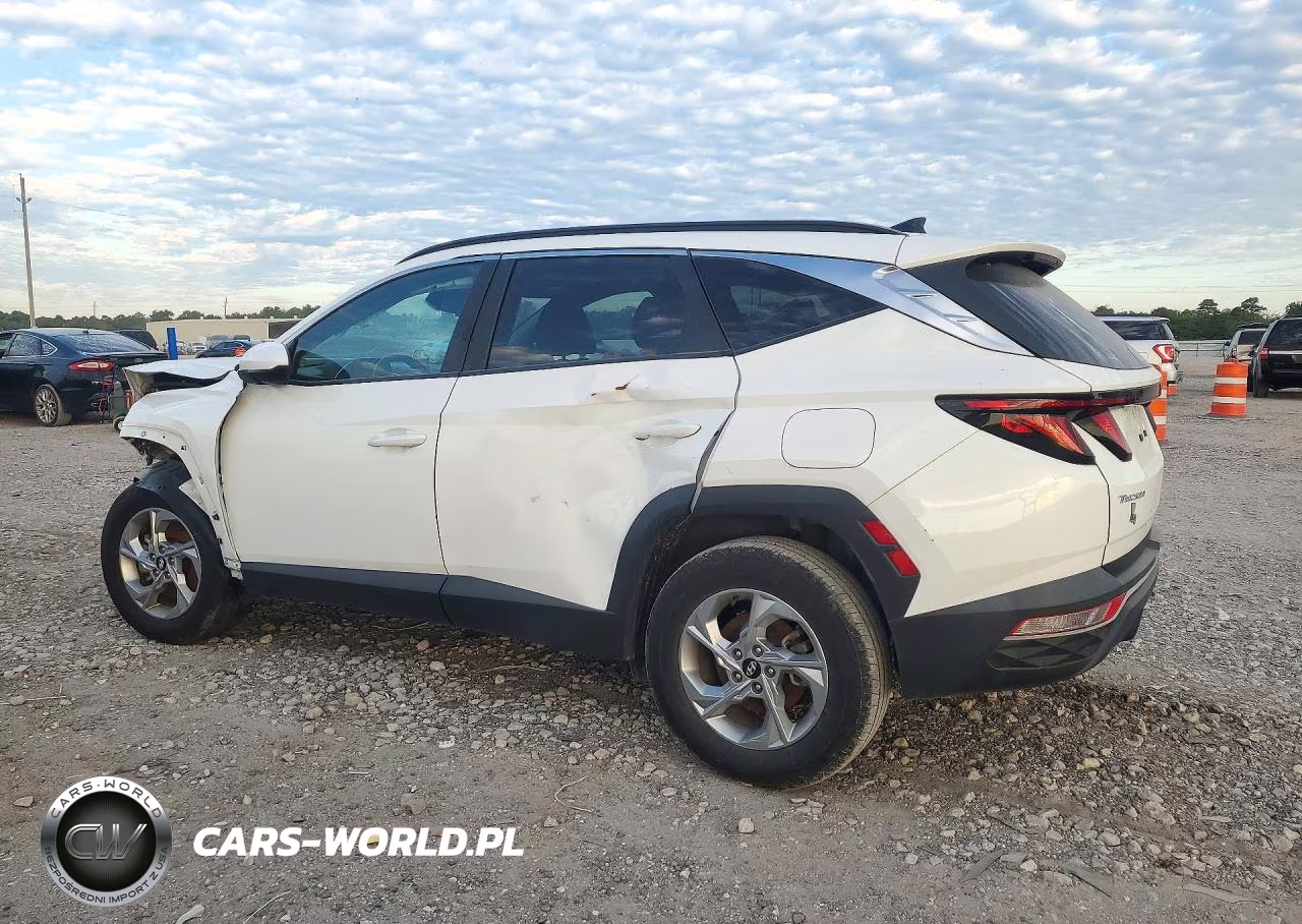 2024 Hyundai Tucson Sel VIN:5NMJBCDE9RH315768 - 2