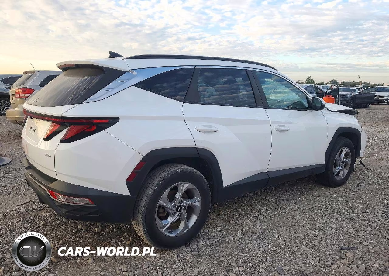 2024 Hyundai Tucson Sel VIN:5NMJBCDE9RH315768 - 3