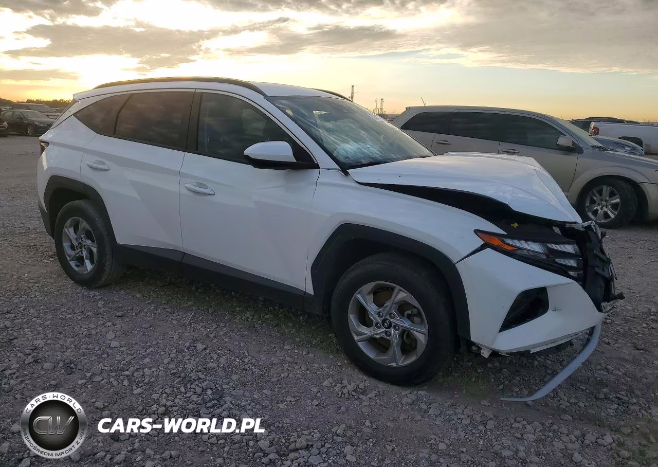 2024 Hyundai Tucson Sel VIN:5NMJBCDE9RH315768 - 4
