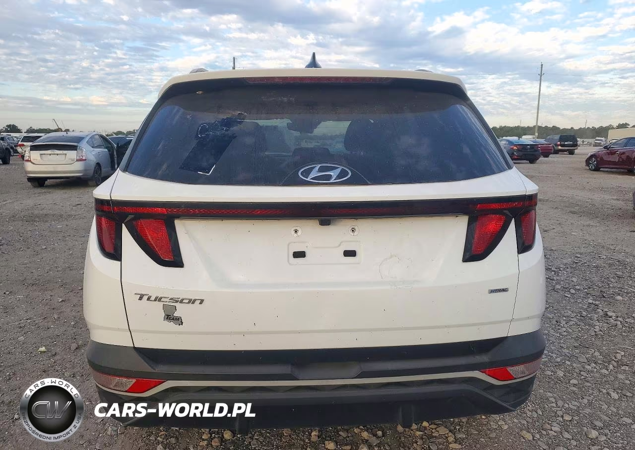 2024 Hyundai Tucson Sel VIN:5NMJBCDE9RH315768 - 6