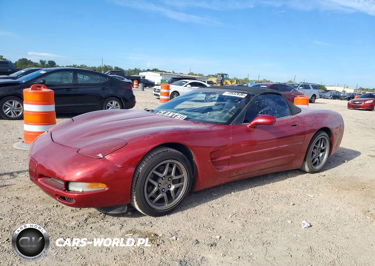 2004 Chevrolet Corvette VIN:1G1YY32G345106547 - 1