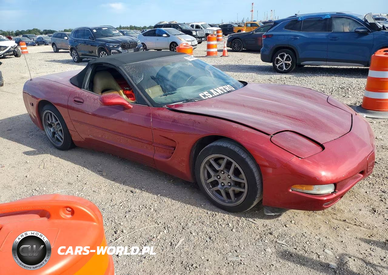 2004 Chevrolet Corvette VIN:1G1YY32G345106547 - 4