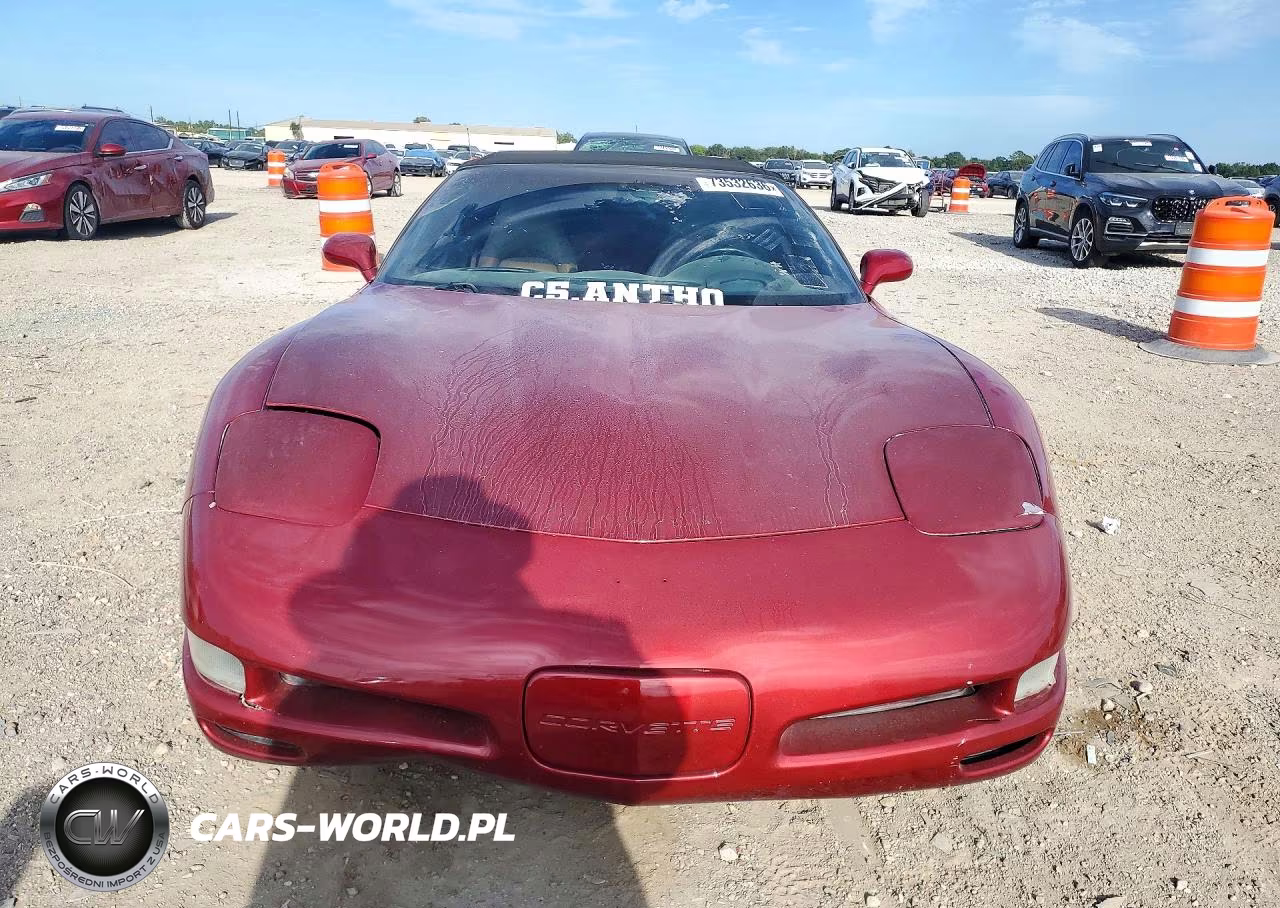 2004 Chevrolet Corvette VIN:1G1YY32G345106547 - 5