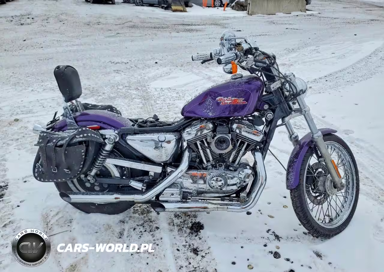 2001 Harley-Davidson Xl1200 C