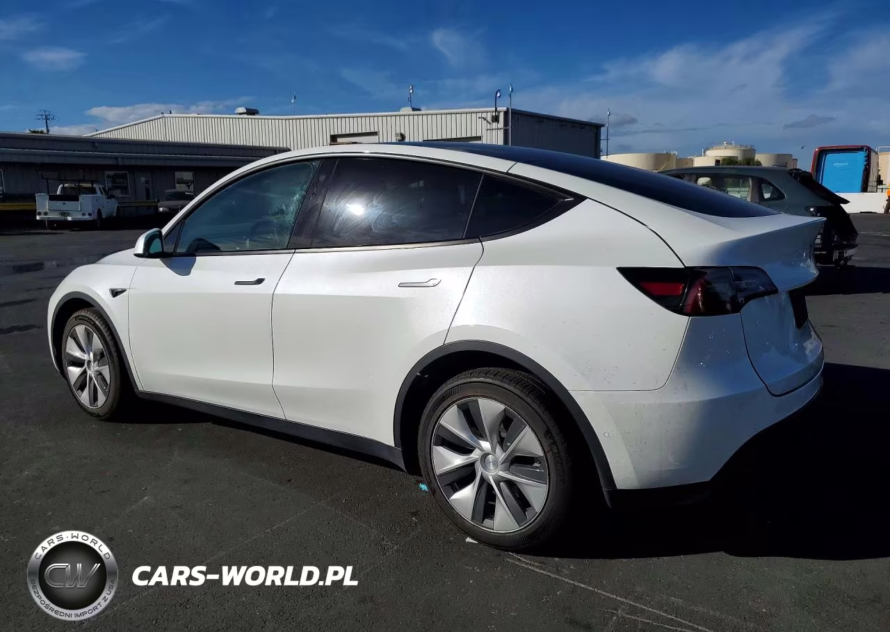 2022 Tesla Model Y VIN:7SAYGDEE7NF443655 - 2