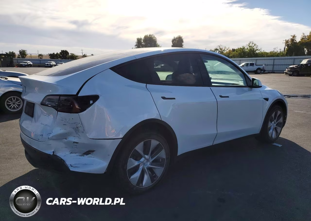 2022 Tesla Model Y VIN:7SAYGDEE7NF443655 - 3