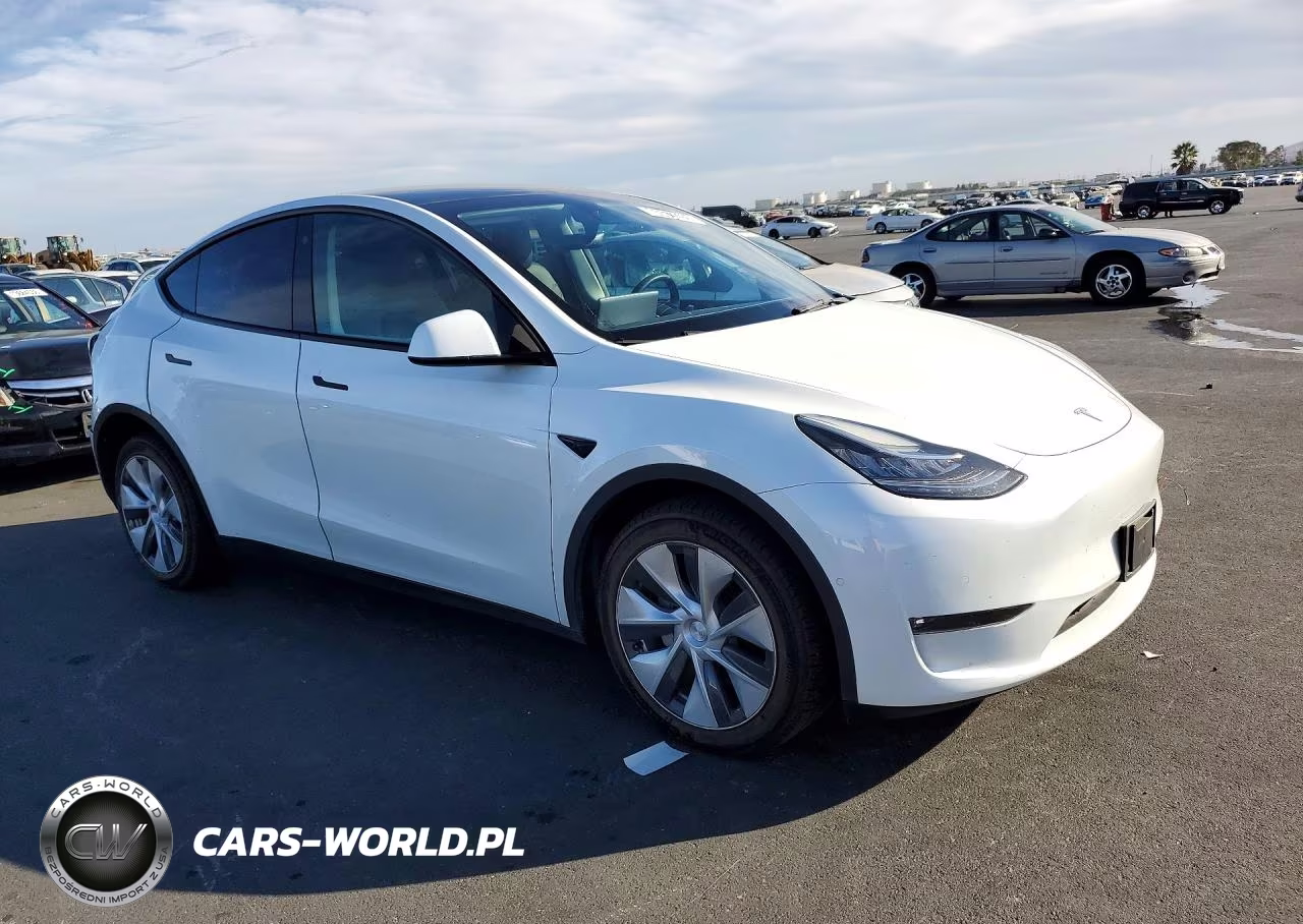 2022 Tesla Model Y VIN:7SAYGDEE7NF443655 - 4